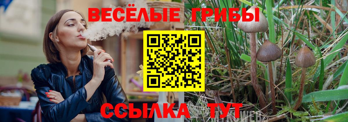 Галлюциногенные грибы мухоморы  Вход с VPN  купить   Ржев 